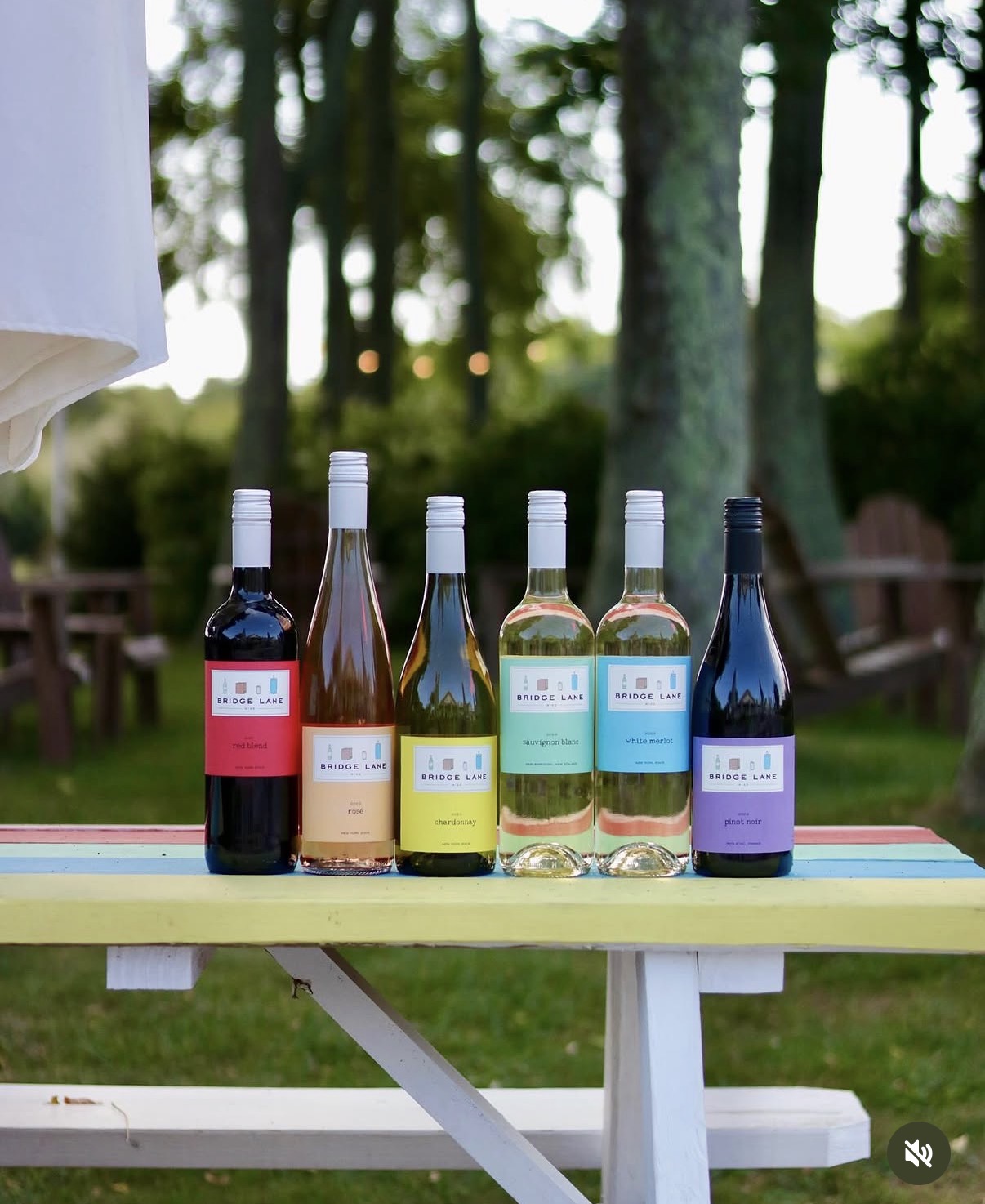 Inside the World of Wine: Level 1