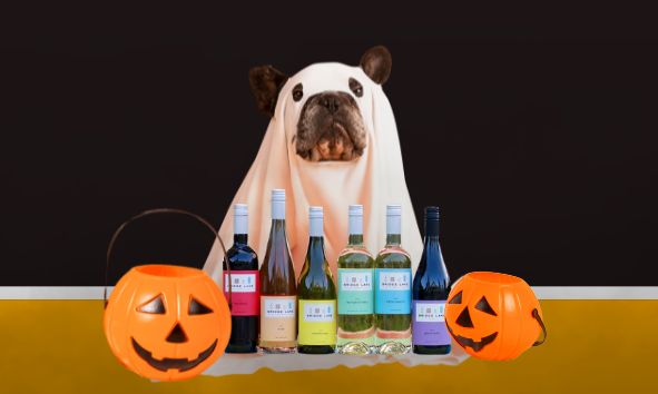 Paws & Pours- Halloween Costume Party